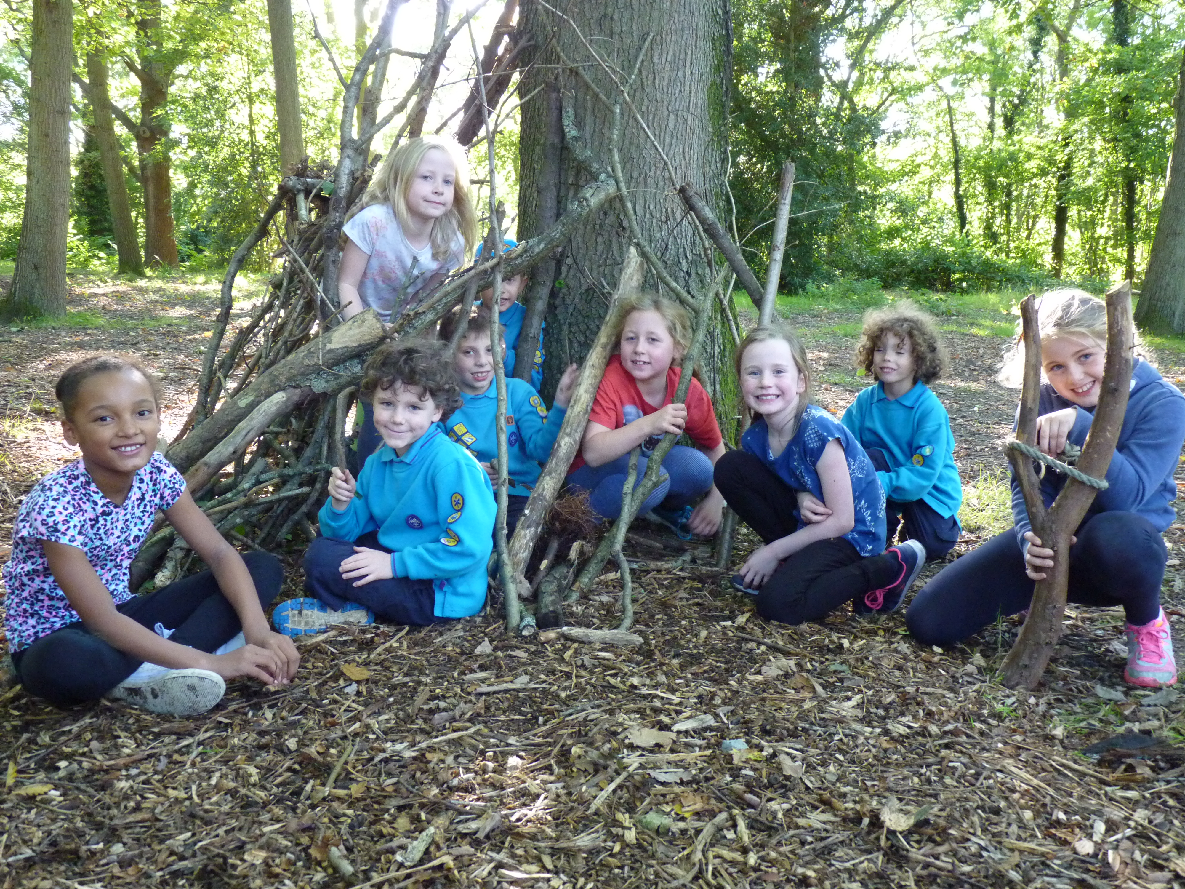 Beavers